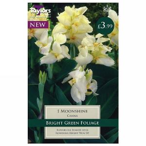 Canna Moonshine - 1 Bulb
