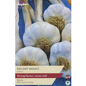 Grow Your Own Solent Wight Garlic