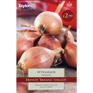 Shallot Vigarmor (10 Bulbs)
