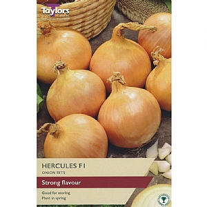 Onion Hercules