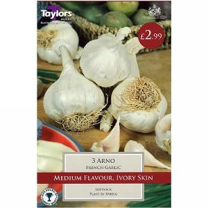 Grow Your Own French Arno Garlic