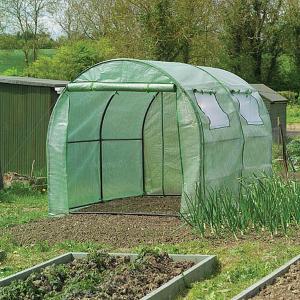 Polytunnel with Reinforced Cover & Windows