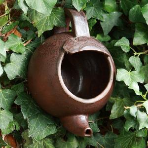 Wildlife World Robin Teapot Nester