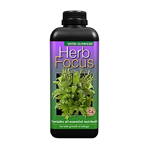 Growth Technology Herb Focus 1L
