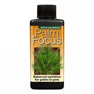 Growth Technology Palm Focus - 100ml