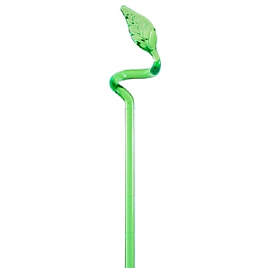 Growth Technology Orchid Flower Support Leaf Green