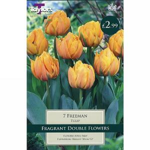 Tulip Double Freeman (7 Bulbs)