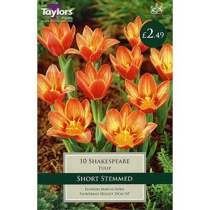 Tulip Shakespeare (10 Bulbs)