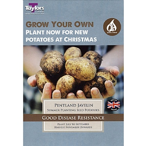 Potato Pentland Javelin (Pack of 10)