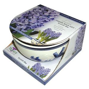 Hyacinths Blue Delft Bowl Gift Set