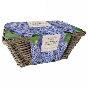 Hyacinth Fragrant Blue Wicker Basket
