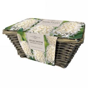 Hyacinth Fragrant White Wicker Basket