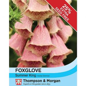 Thompson & Morgan Foxglove Summer King