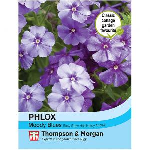 Thompson & Morgan Phlox Drummondii Moody Blues