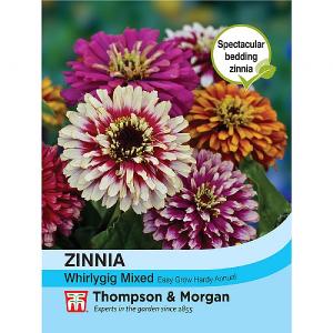 Thompson & Morgan Zinnia Whirlygig Mixed