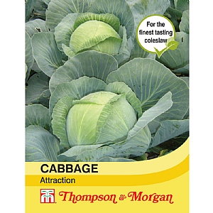 Thompson & Morgan Cabbage Attraction Seeds