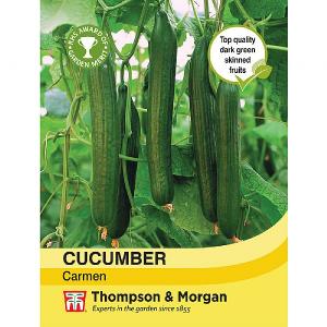 Thompson & Morgan Cucumber Carmen
