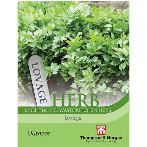 Thompson & Morgan Herb Lovage Seeds