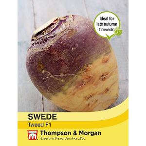 Thompson & Morgan Swede Tweed