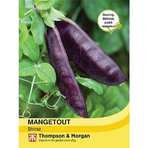 Thompson & Morgan Mangetout Shiraz Seeds