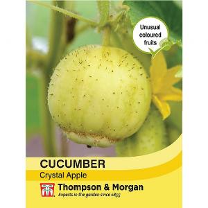Thompson & Morgan Cucumber Crystal Apple