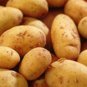 Premiere First Early Seed Potatoes 2kg