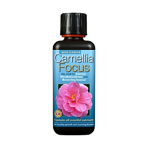 Growth Technology Camellia Focus 300ML