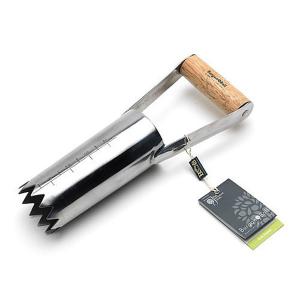 Burgon & Ball RHS Stainless Steel Bulb Planter