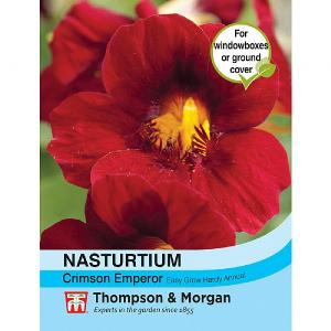 Thompson & Morgan Nasturtium Crimson Emperor