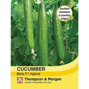 Thompson & Morgan Cucumber Bella F1 Hybrid