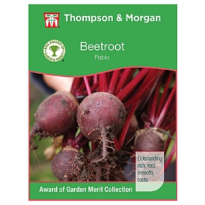Thompson & Morgan Award of Garden Merit Beet Pablo