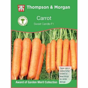 Thompson & Morgan Award of Garden Merit Carrot Sweet Candle F1 Hybrid