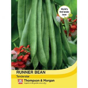 Thompson & Morgan Runner Bean Tenderstar Seeds