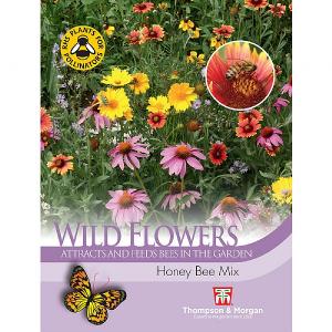 Thompson & Morgan Wild Flower Honey Bee Flower Mix