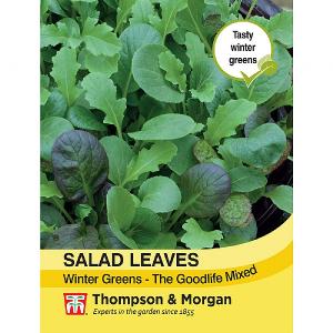 Thompson & Morgan Salad Leaves - Winter Greens The Good Life Mixed