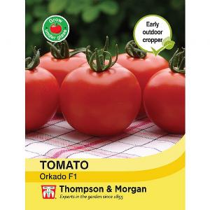 Thompson & Morgan Tomato Orkado Seeds