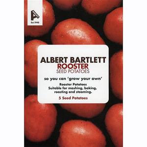Taster Pack Albert Bartlett 'Rooster' Maincrop Seed Potatoes