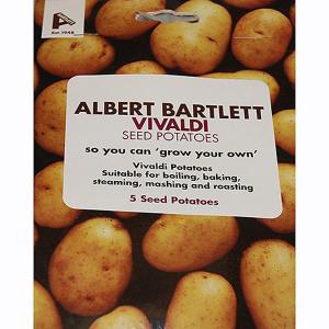 Taster Pack Albert Bartlett 'Vivaldi' Second Earlies Seed Potatoes