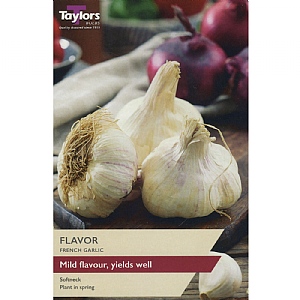Grow Your Own French Garlic