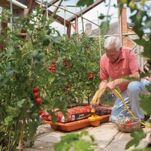 Hozelock Growbag Waterer