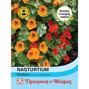 Thompson & Morgan Nasturtium Firebird