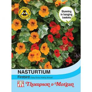 Thompson & Morgan Nasturtium Firebird