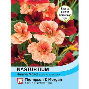 Thompson & Morgan Nasturtium Rumba Mixed