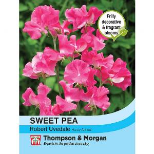 Thompson & Morgan Sweet Pea Robert Uvedale