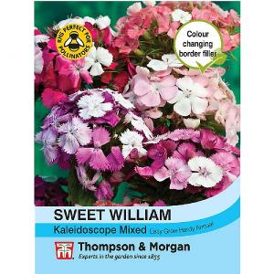 Thompson & Morgan Sweet William Kaleidoscope Mixed