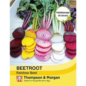 Thompson & Morgan Beetroot Rainbow Beet