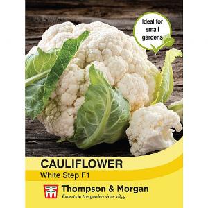 Thompson & Morgan Cauliflower White Step F1 Hybrid