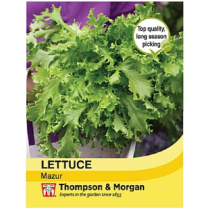 Thompson & Morgan Lettuce Mazur Seeds