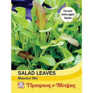 Thompson & Morgan Salad Leaves - Mesclun Mixed