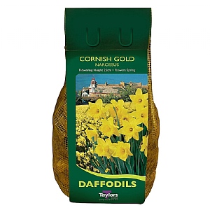 Narcissus Cornish Gold Carri-Pack 2kg